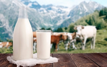 Fresh milk/Soy Milk